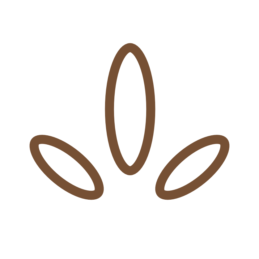Favicon featuring three olive leaves in dark brown line art