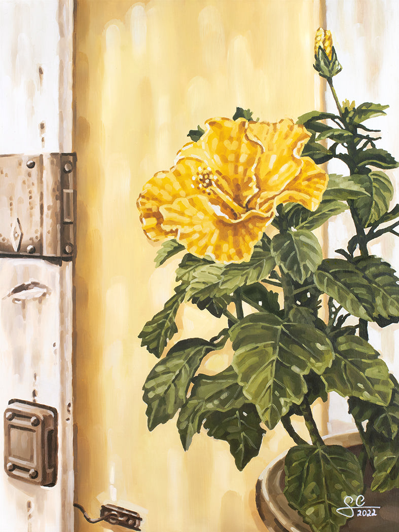 Gelbe Hibiskusblüte Gardasee, mediterrane Botanik Kunstdruck, mediterranes Gemälde