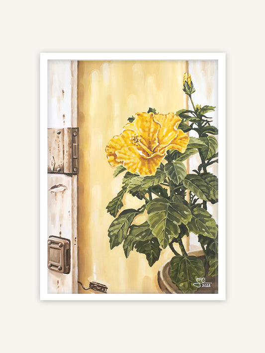 Gelbe Hibiskusblüte Gardasee, mediterrane Botanik Kunstdruck, botanisches Poster in weißem Rahmen 