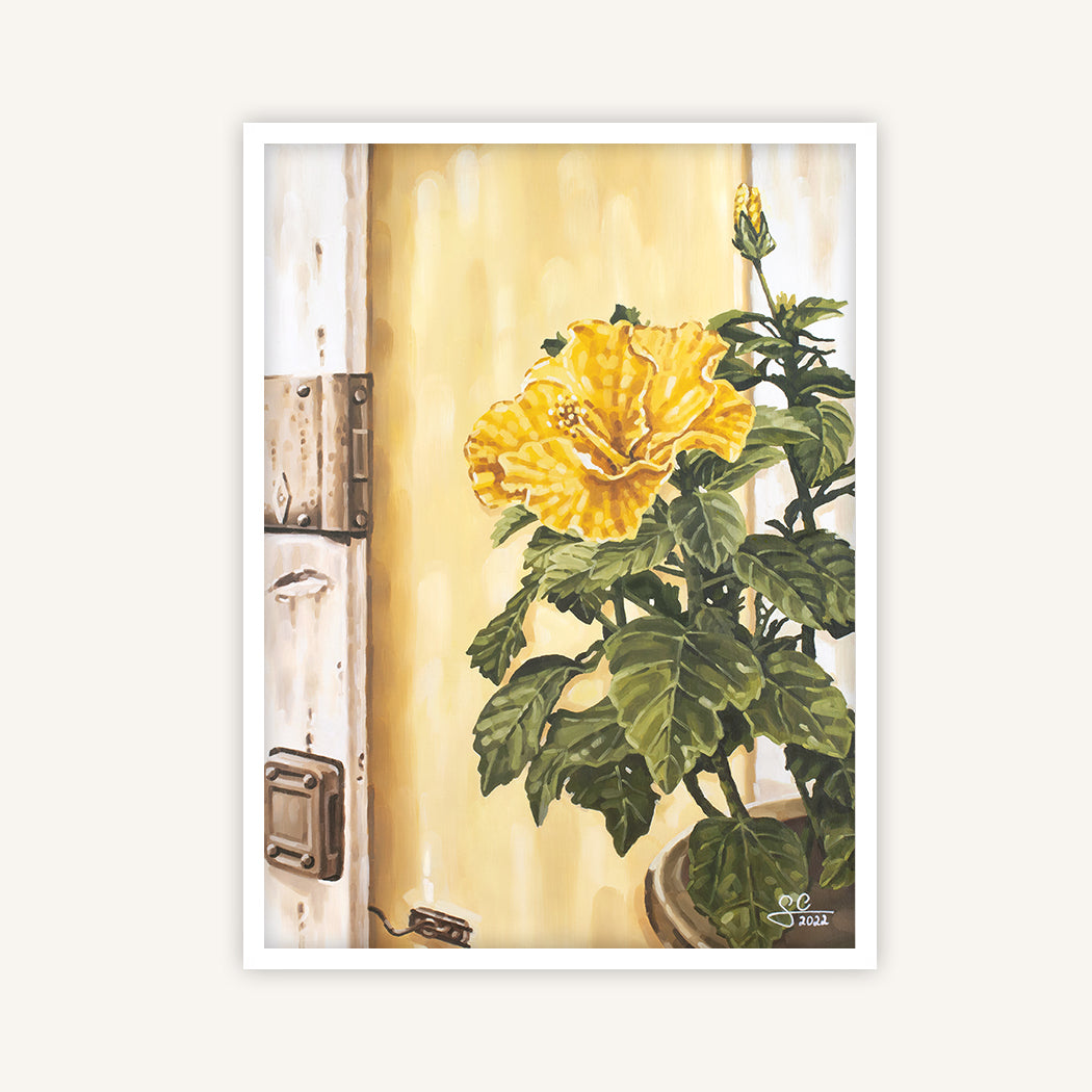 Yellow hibiscus flower in front of a historic wall in Lazise, fine art print 