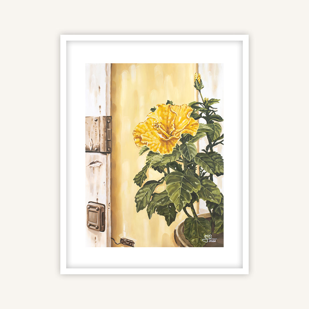 Yellow hibiscus flower in front of a historic wall in Lazise, fine art print 