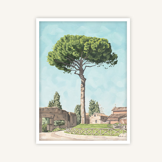 Rome art print featuring a Roman pine tree