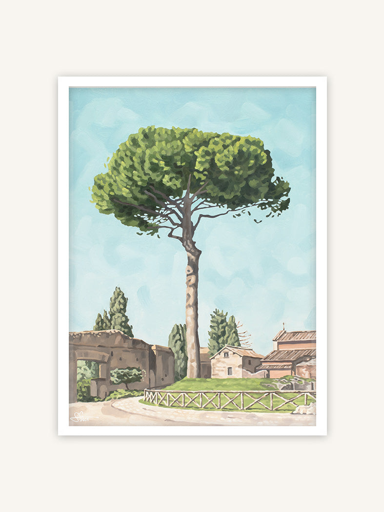 Rom Palatinhügel mit Pinie, italienische Landschaft Kunstdruck, Italien Poster in weißem Rahmen