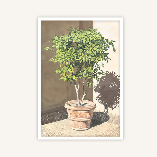 Rome art print featuring an orange tree