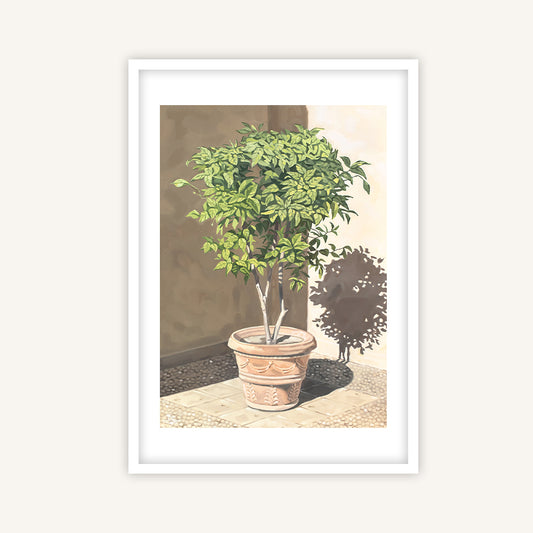 Rome art print featuring an orange tree