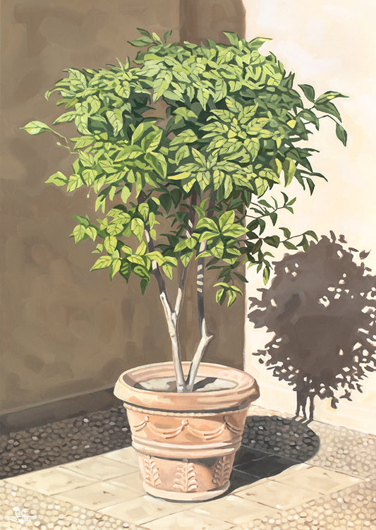 Orangenbaum in Tivoli Villa d'Este, mediterraner Kunstdruck, mediterranes Gemälde