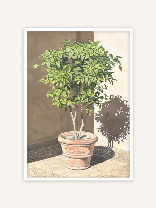 Orangenbaum in Tivoli Villa d'Este, mediterraner Kunstdruck, mediterranes Gemälde mit weißem Rahmen